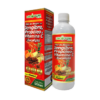 Miel de Abeja con Jengibre, Propóleo y Vitamina C