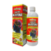 N-Fitina