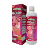 R-Quist