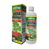 Vita Moringa